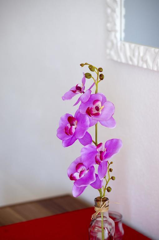 Apartments Julija Hvar Zewnętrze zdjęcie